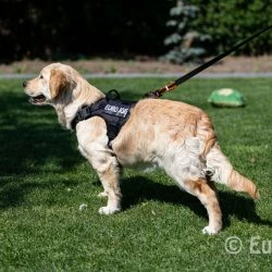 Euro Joe Nylon Harness 'Tactical' Black 52 Euro Joe Nylon Harness 'Tactical' Black -Euro Joe shop tactical harness 11 7