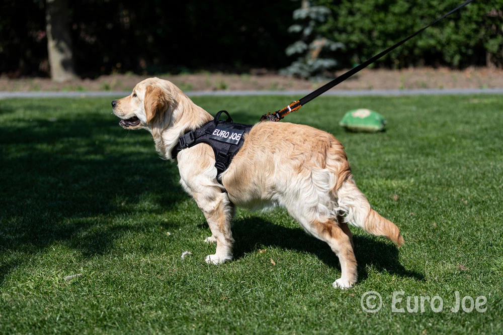 Euro Joe Nylon Harness 'Tactical' Black 22 Euro Joe Nylon Harness 'Tactical' Black - Image 22