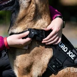 Euro Joe Nylon Harness 'Tactical' Khaki Green -Euro Joe shop tactical harness 14 3