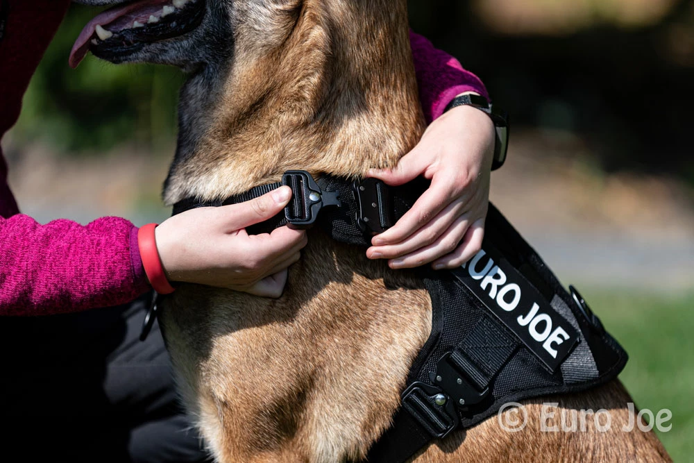 Euro Joe Nylon Harness 'Tactical' Black 8 Euro Joe Nylon Harness 'Tactical' Black - Image 8