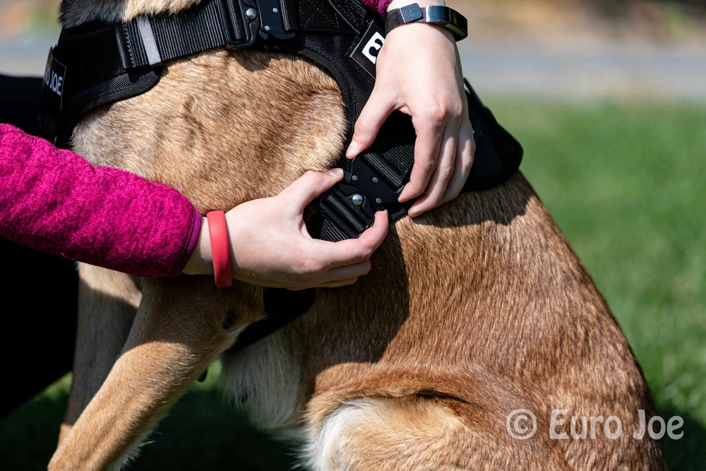 Euro Joe Nylon Harness 'Tactical' Neon Green 9 Euro Joe Nylon Harness 'Tactical' Neon Green - Image 9