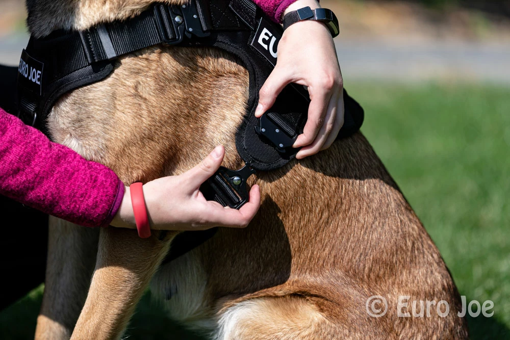 Euro Joe Nylon Harness 'Tactical' Pink 10 Euro Joe Nylon Harness 'Tactical' Pink - Image 10