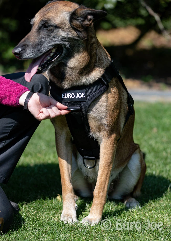 Euro Joe Nylon Harness 'Tactical' Neon Green 13 Euro Joe Nylon Harness 'Tactical' Neon Green - Image 13