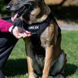 Euro Joe Nylon Harness 'Tactical' Pink 43 Euro Joe Nylon Harness 'Tactical' Pink -Euro Joe shop tactical harness 17 5