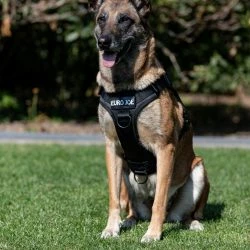 Euro Joe Nylon Harness 'Tactical' Neon Yellow 34 Euro Joe Nylon Harness 'Tactical' Neon Yellow -Euro Joe shop tactical harness 18