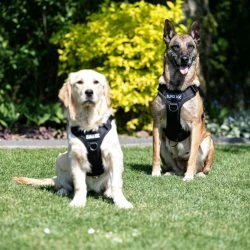 Euro Joe Nylon Harness 'Tactical' Khaki Green -Euro Joe shop tactical harness 2 3