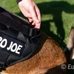 Euro Joe Nylon Harness 'Tactical' Black 46 Euro Joe Nylon Harness 'Tactical' Black -Euro Joe shop tactical harness 21 7