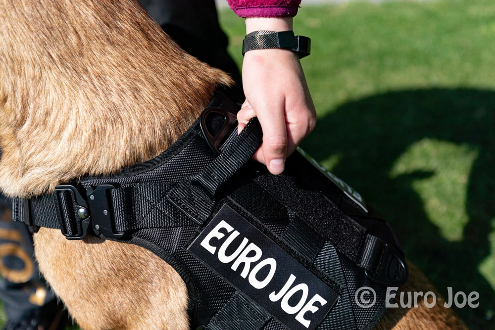 Euro Joe Nylon Harness 'Tactical' Pink 17 Euro Joe Nylon Harness 'Tactical' Pink - Image 17