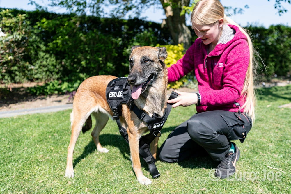 Euro Joe Nylon Harness 'Tactical' Black 18 Euro Joe Nylon Harness 'Tactical' Black - Image 18