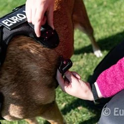 Euro Joe Nylon Harness 'Tactical' Pink 42 Euro Joe Nylon Harness 'Tactical' Pink -Euro Joe shop tactical harness 25 5