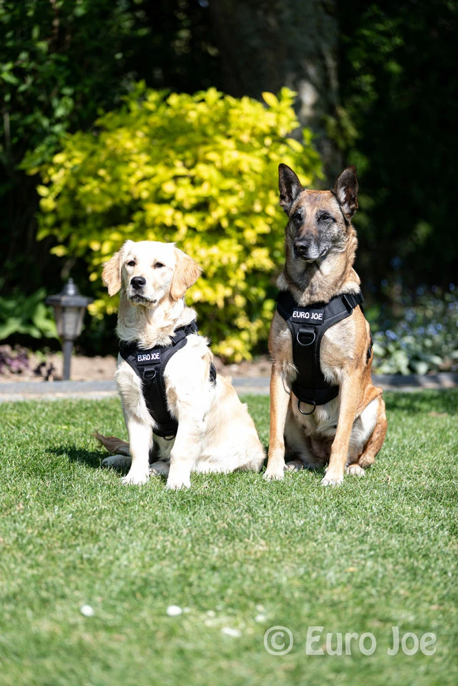 Euro Joe Nylon Harness 'Tactical' Neon Green 2 Euro Joe Nylon Harness 'Tactical' Neon Green - Image 2