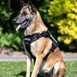 Euro Joe Nylon Harness 'Tactical' Black 33 Euro Joe Nylon Harness 'Tactical' Black -Euro Joe shop tactical harness 4 7