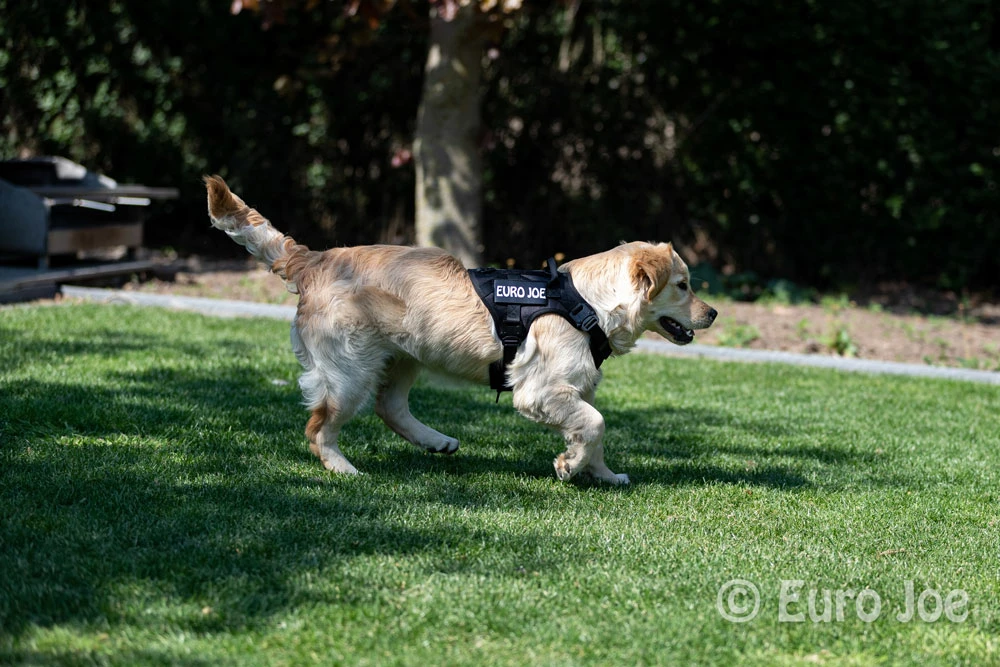 Euro Joe Nylon Harness 'Tactical' Neon Green 21 Euro Joe Nylon Harness 'Tactical' Neon Green - Image 21