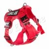Euro Joe Nylon Harness 'Tactical' Red