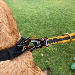 Euro Joe Tactical Line Biothane 1m With Handle