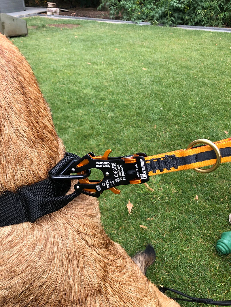 Euro Joe Tactical Line PP/rubber 2m With Handle 2 Euro Joe Tactical Line PP/rubber 2m With Handle - Image 2