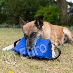 Euro Joe Bite Cushion "Triangle" Nylcot Pink -Euro Joe shop triangle4