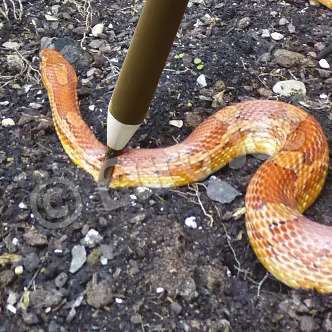 Euro Joe Restraint Stick For Reptiles 3 Euro Joe Restraint Stick For Reptiles - Image 3