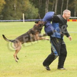 Euro Joe Swedish Sleeve -Euro Joe shop zweedse mouw3