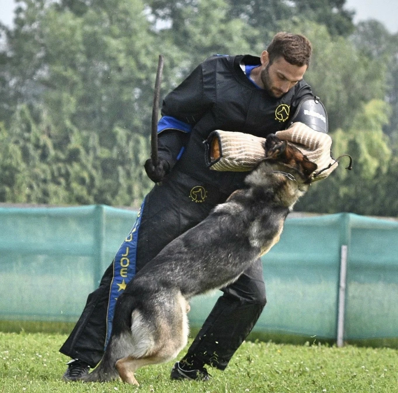 Euro Joe shop -Euro Joe shop euro joe